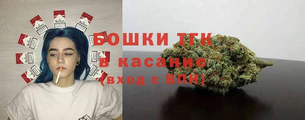 mix Богородицк